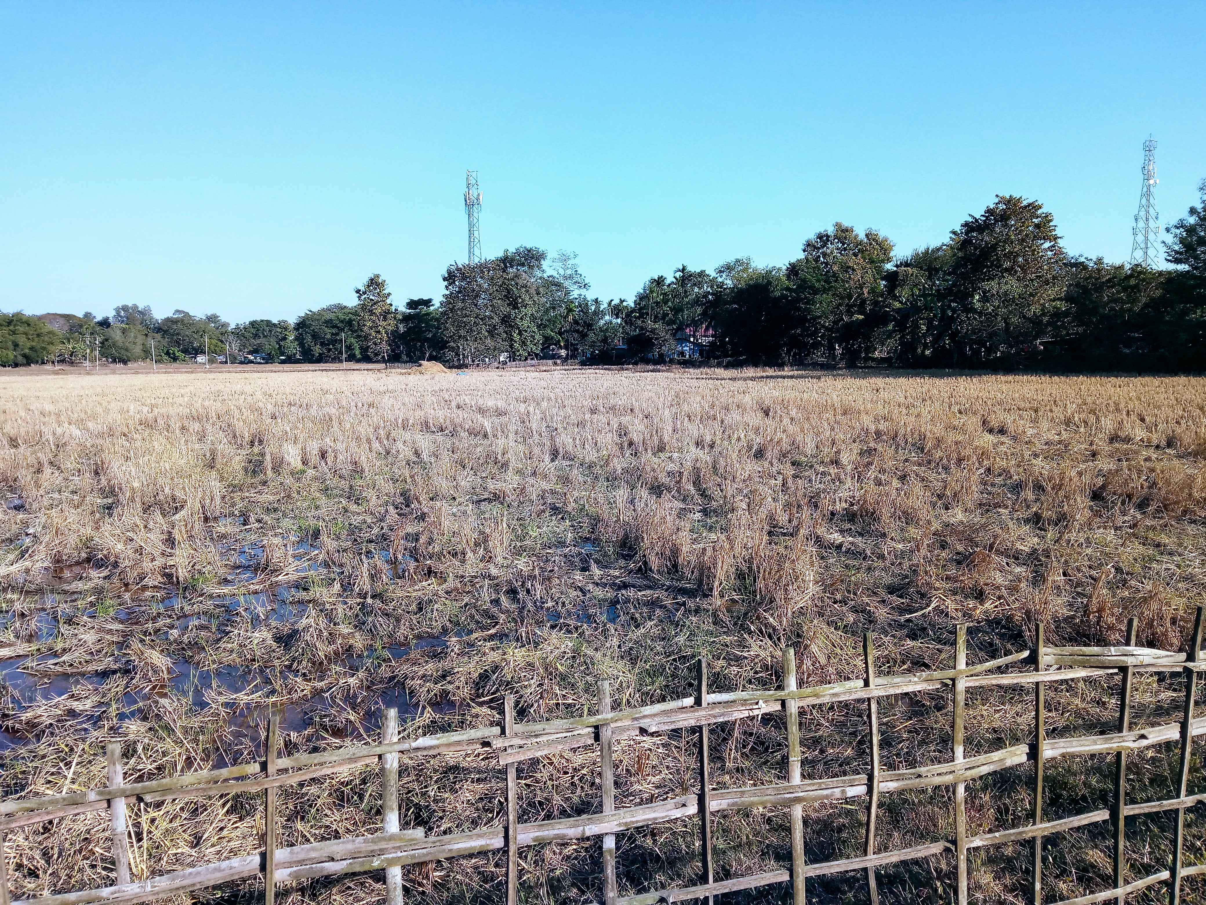 IMG_20181224_142655366