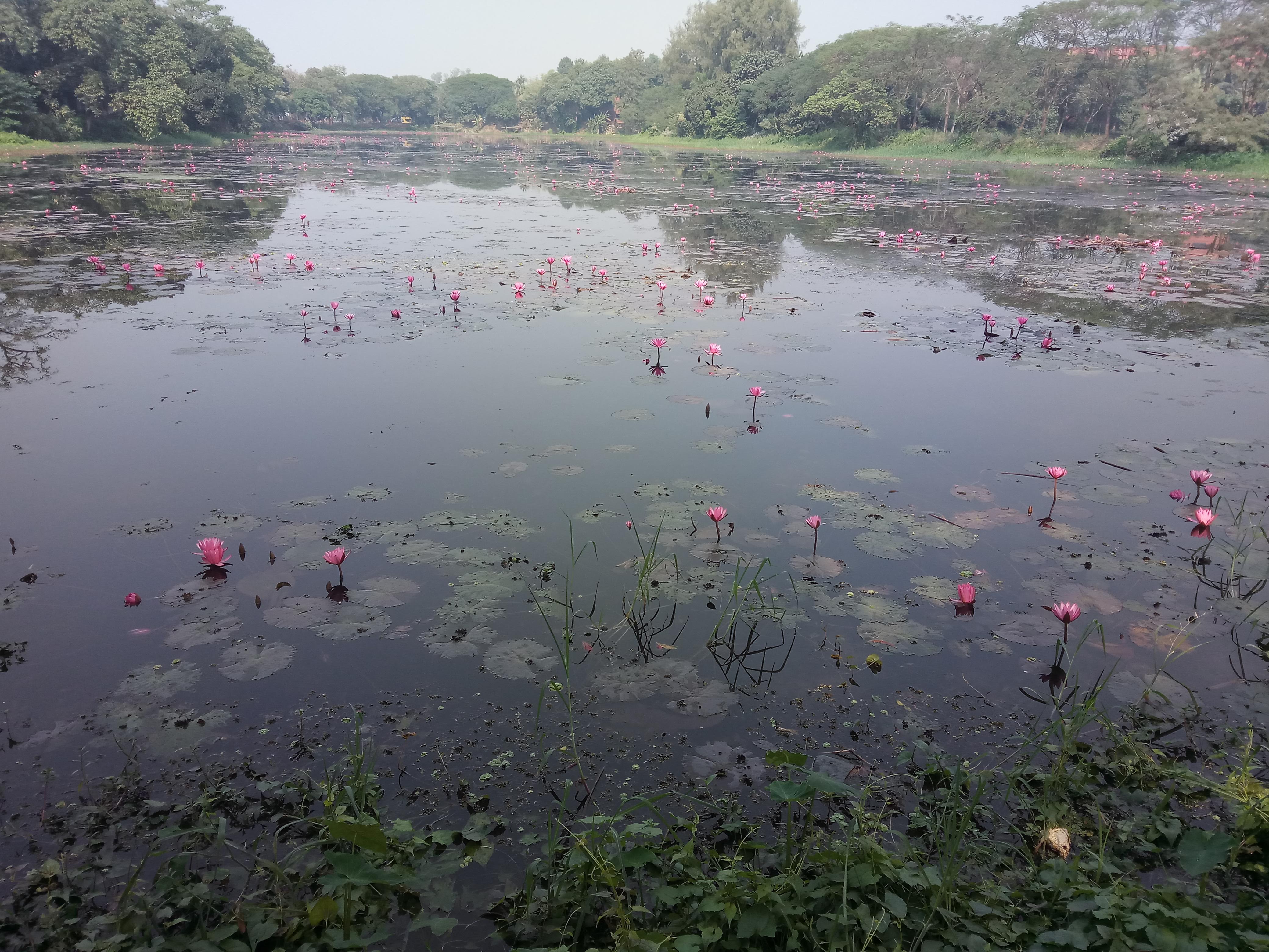 IMG_20190102_120200491