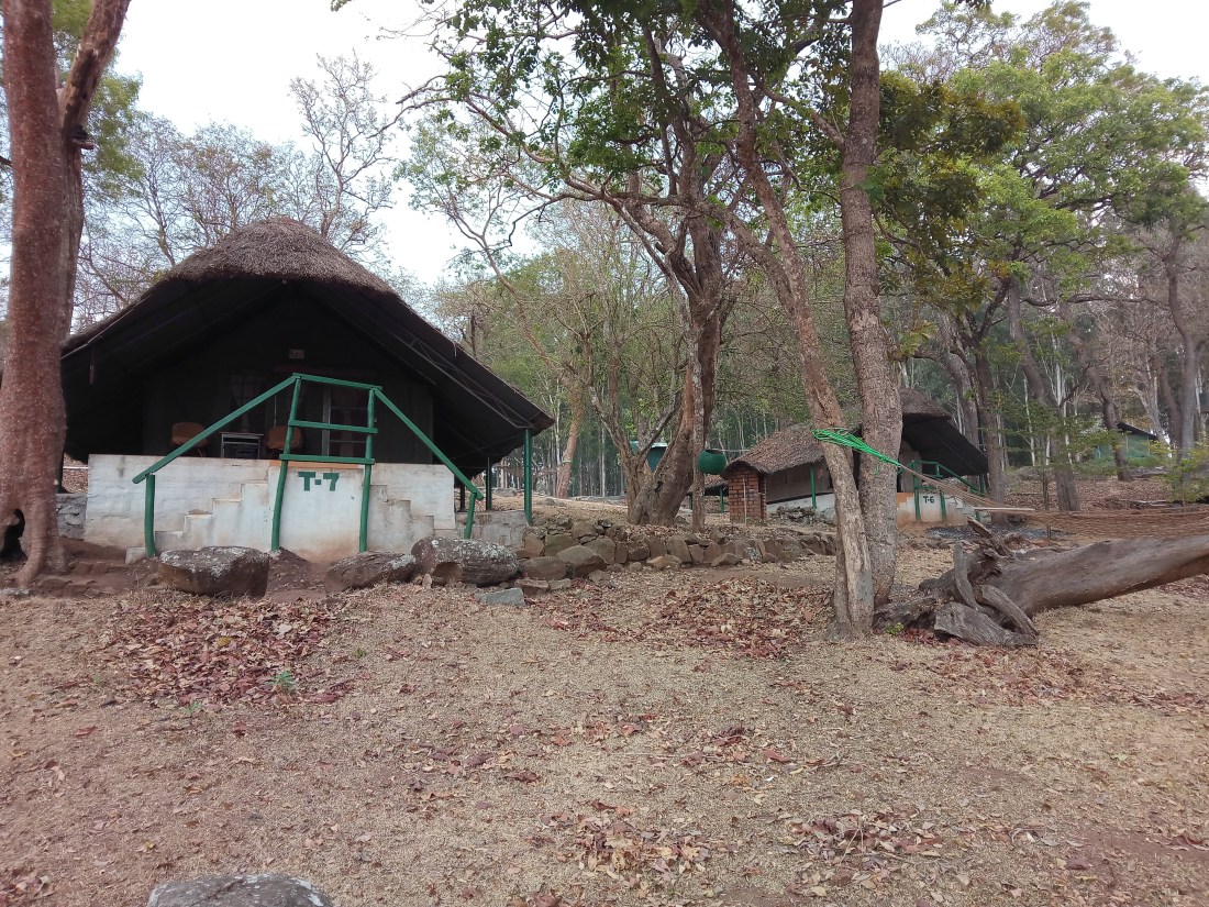 IMG_20190302_153744138