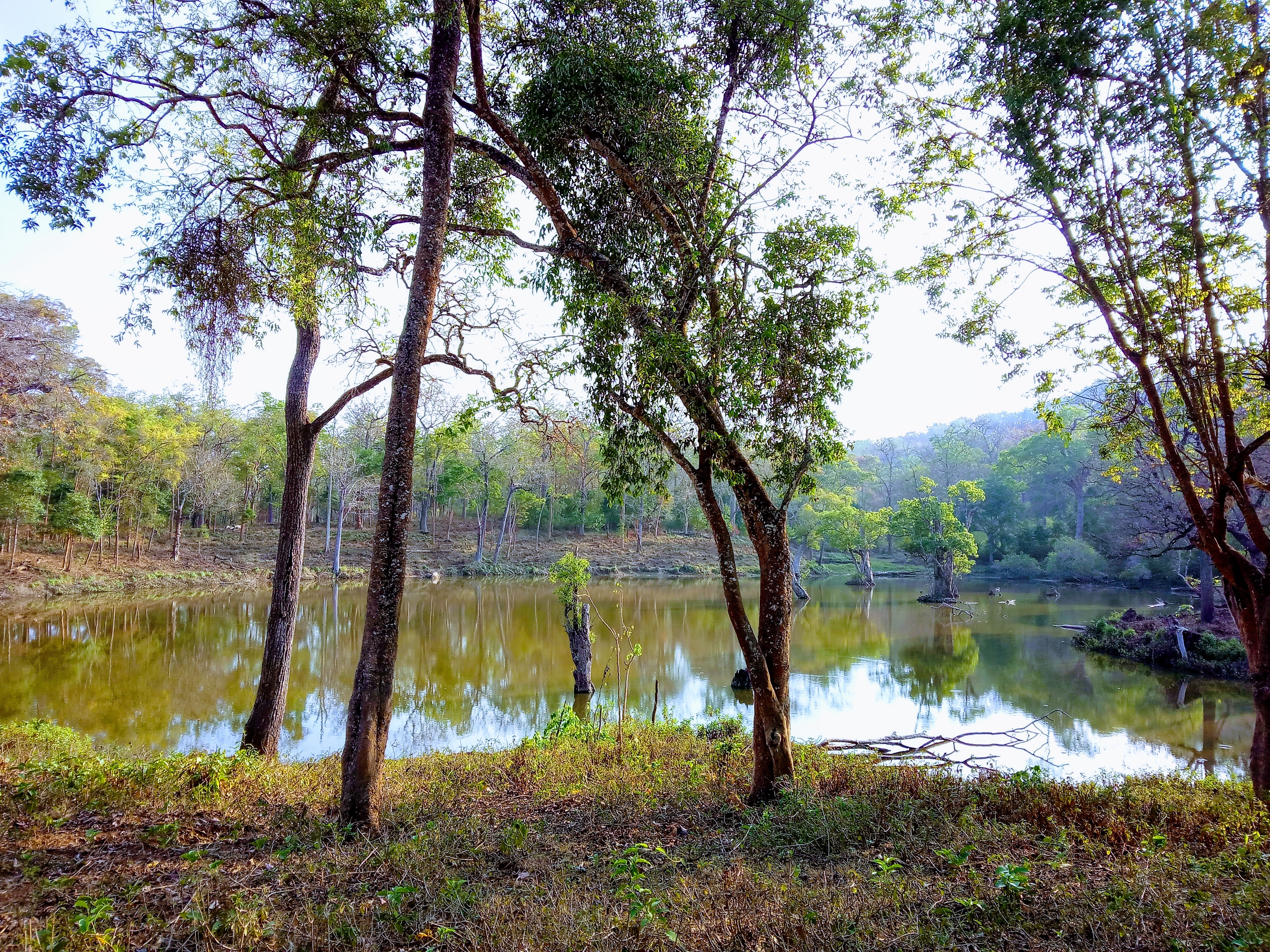 IMG_20190303_170416600-EFFECTS