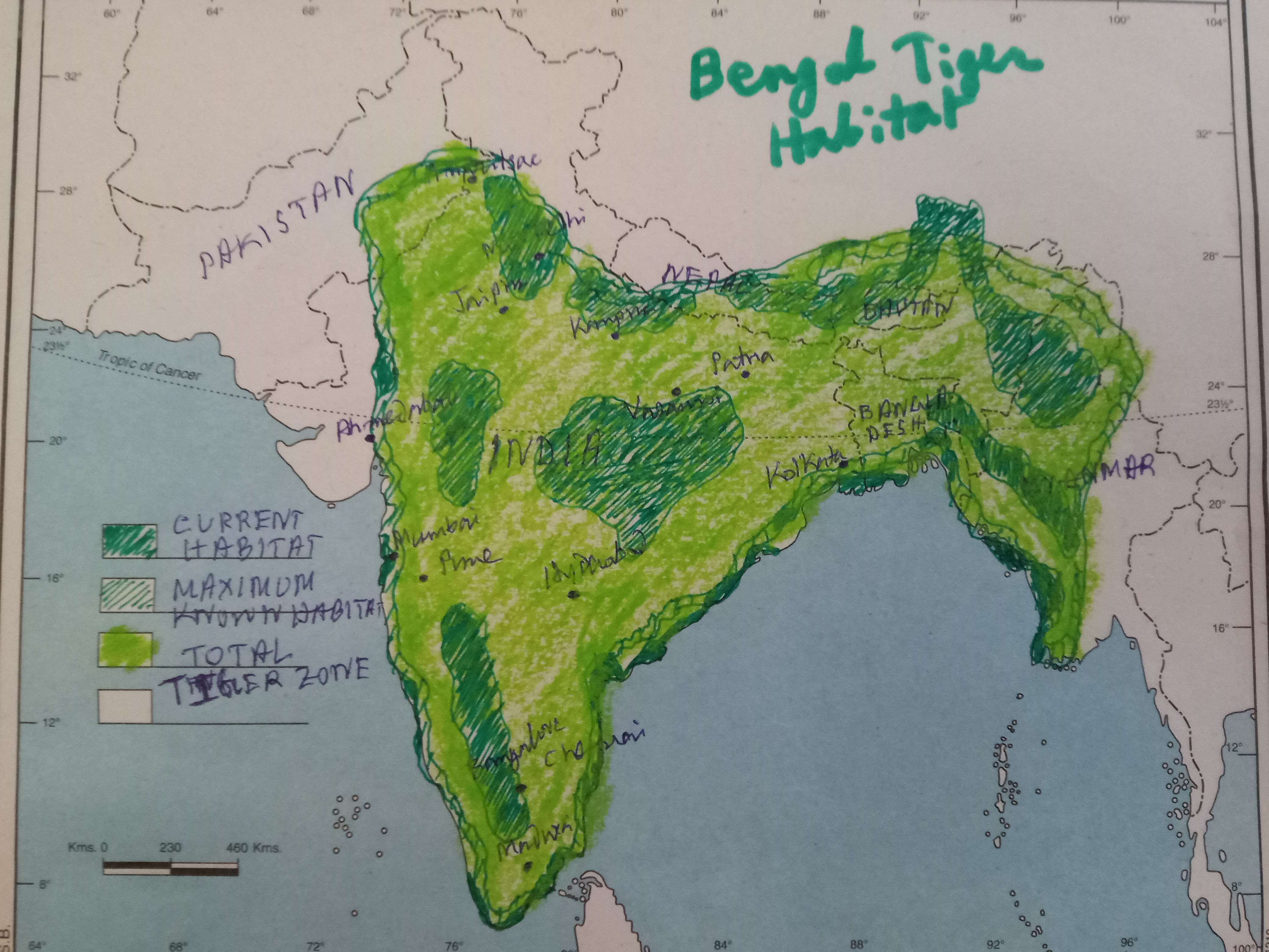 IMG_20200205_171255154